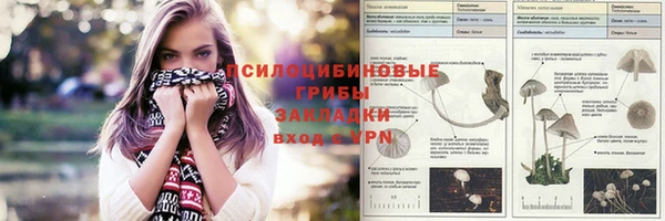 Альфа ПВП Беломорск