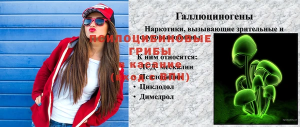 Альфа ПВП Беломорск