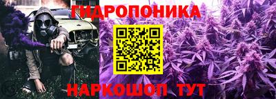 apvp Абакан
