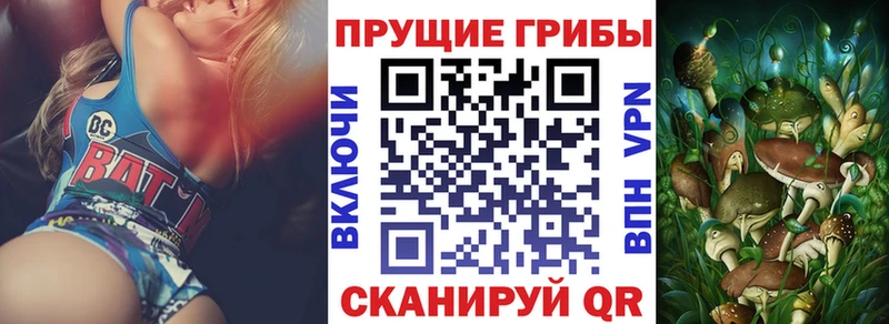 Купить где  Сокол  Псилоцибиновые грибы мицелий 