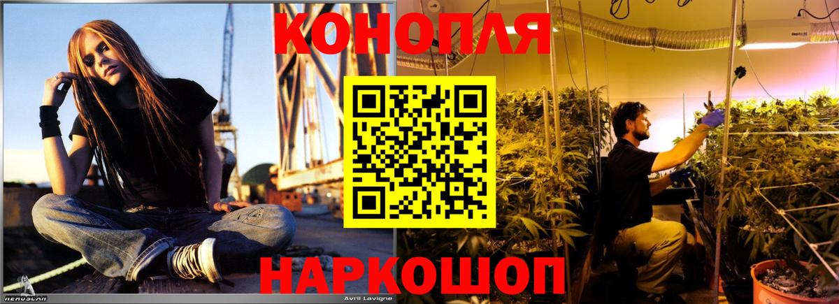 Канабис Bruce Banner Сокол
